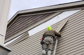 Best Custom Trim and Detailing for Siding  in Snow Hill, MD